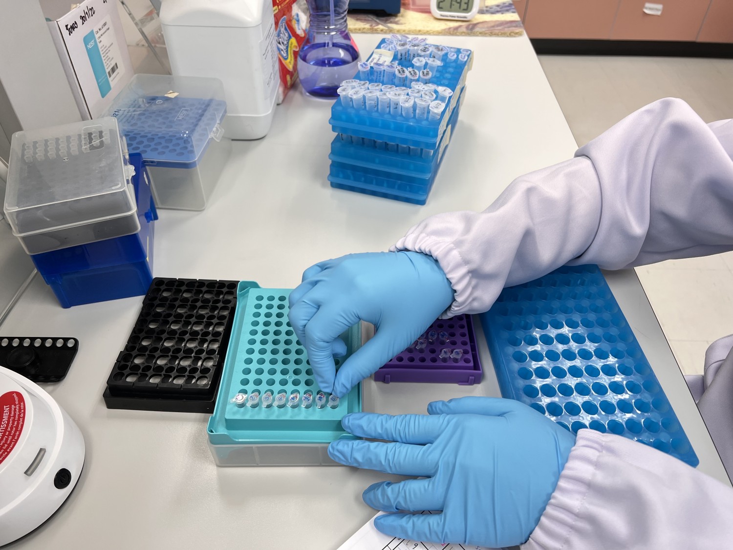 cDNA Synthesis Services ATGC Co.,LTD.